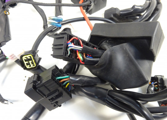 Kabelboom Benelli 302 R