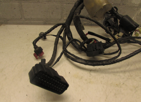 Kabelboom Honda VTR 1000 F