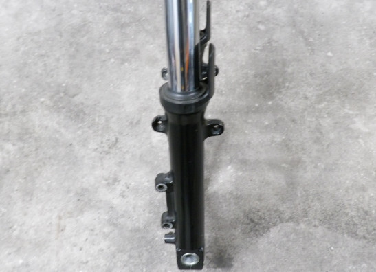 Voorpoten compleet Kawasaki ZRX 1100 1200