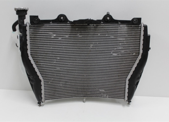 Radiateur BMW S 1000 R