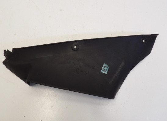 Radiator toebehoren Triumph Sprint ST 1050