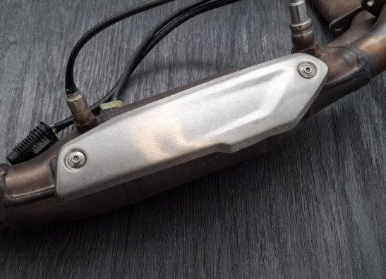 Uitlaatbochten BMW F 850 GS