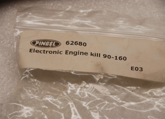 Other Harley Davidson Custom universal other