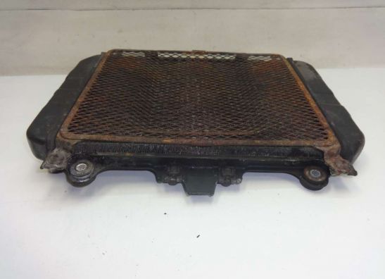 Radiator Kawasaki GPZ 500