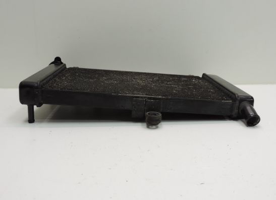 Kuhler Yamaha FZR 600