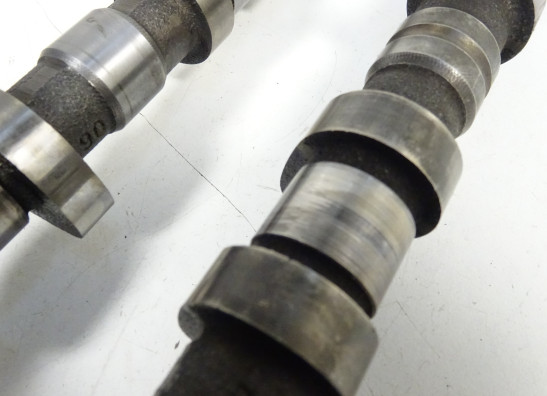 Nokkenas Triumph Tiger 1050