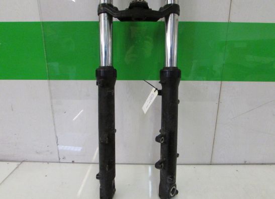 Gabelholm Komplett Honda CBR 1000 F