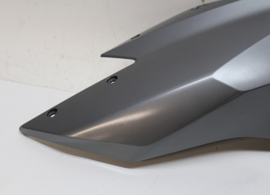 Tankcover BMW R 1200 RS LC