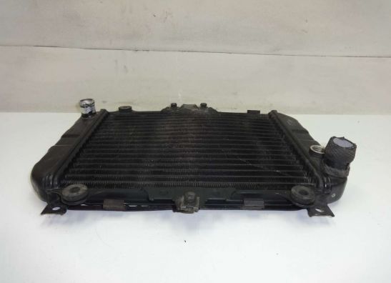 Radiator Kawasaki GPZ 500