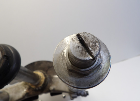 Voorpoten compleet Suzuki RF 900