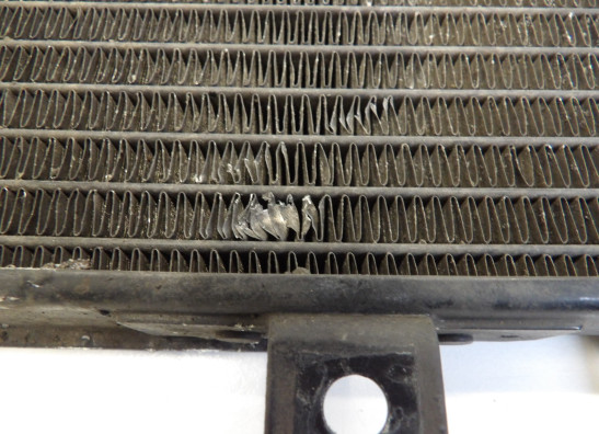 Radiateur Kawasaki Z 750