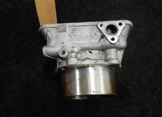 Cylinders Ducati Monster S4