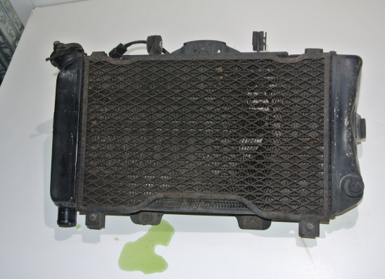 Radiator Yamaha TDM