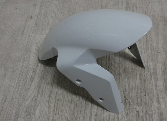 Kotflugel vorne BMW S 1000 RR