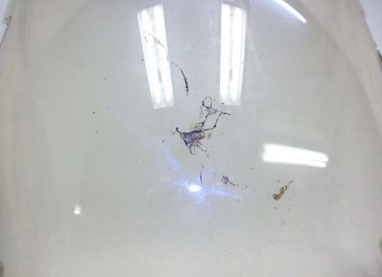 Kuipruit Honda VFR 750