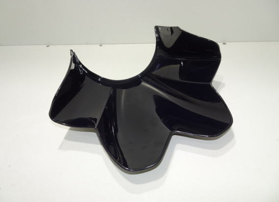 Kuipruit Ducati monster 900