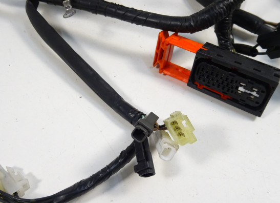 Kabelbaum Suzuki GSX F 650