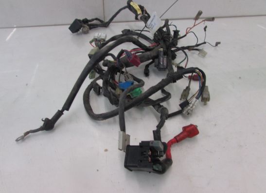 Kabelbaum Yamaha YP 250 Majesty