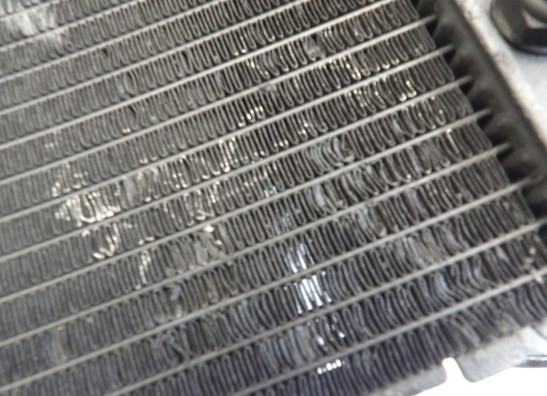 Radiateur Honda CBR 900 RR