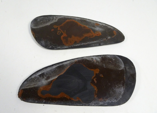 Tankschutz Triumph scrambler 900