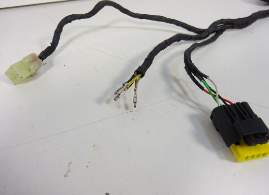 Kabelboom Ducati monster 796