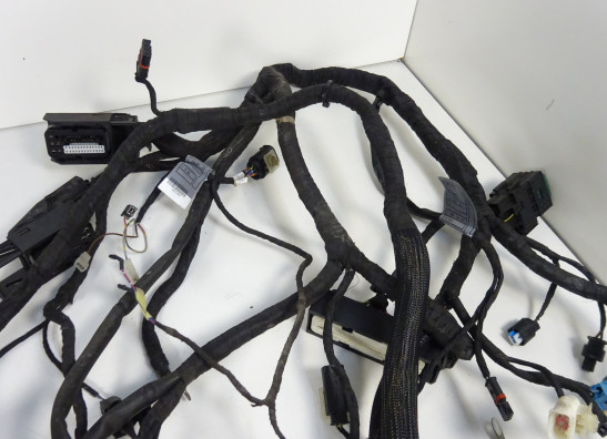 Kabelboom BMW K 1200 R 