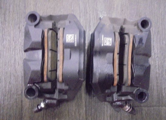 Remklauwen BMW R 1250 R