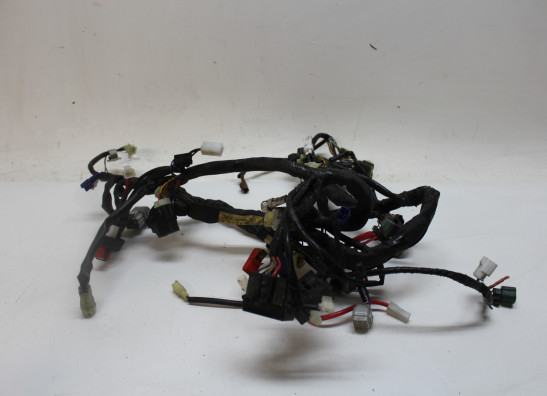 Wire Harness Yamaha FJR 1300