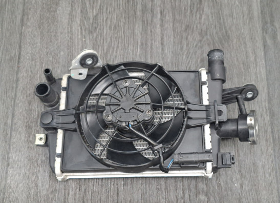 Kuhler BMW R 1200 GS LC