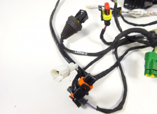 Kabelbaum Aprilia Tuono 660