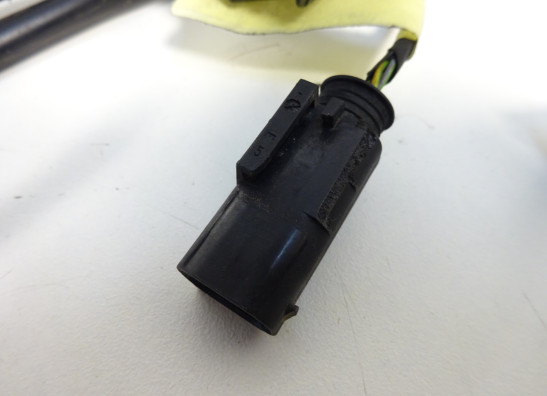 Wire Harness BMW F 800 S - ST