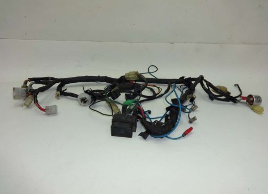 Kabelboom Honda VT 500