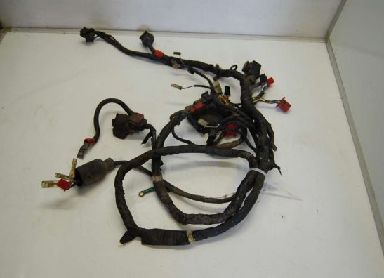 Wire Harness Honda CBR 1000 F