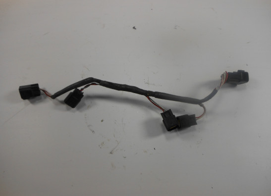Wire Harness Kawasaki Z 1000