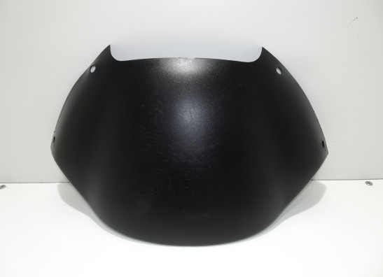 Windschild BMW F 650