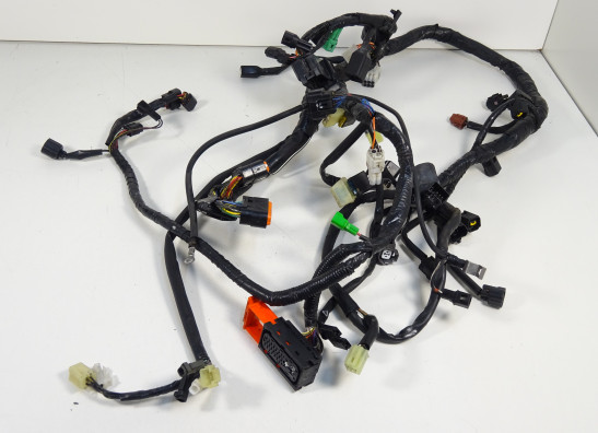 Wire Harness Suzuki GSX F 650