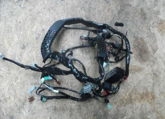 Wire Harness Honda CBR 600 RR