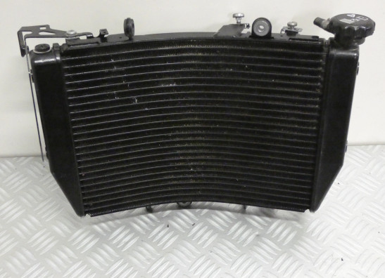 Radiateur Triumph Speed triple RS