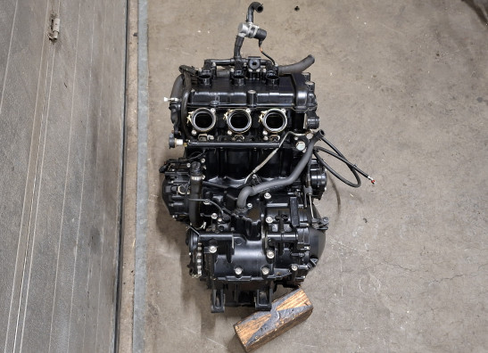 Motorblok Triumph Tiger 1050