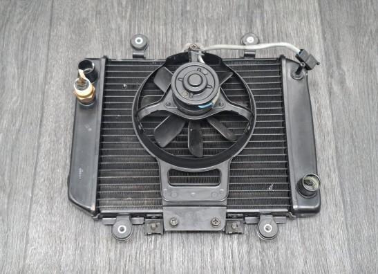 Kuhler Kawasaki ER 5