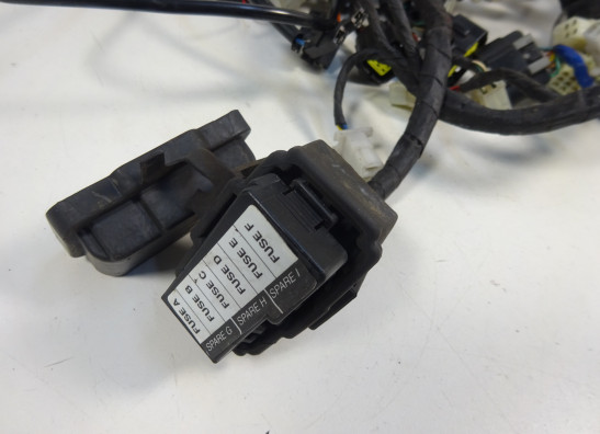 Kabelbaum Aprilia Dorsoduro 750