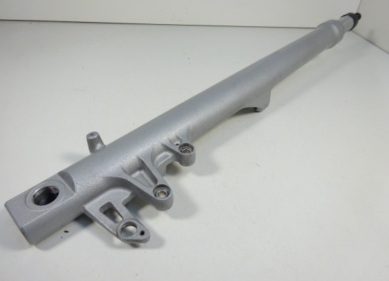 Standrohr Gabelholm links komplett BMW R 1200 RT