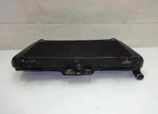 Kuhler Kawasaki GPZ 600