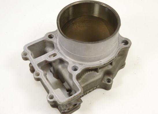 Cilinderblok Suzuki TL 1000