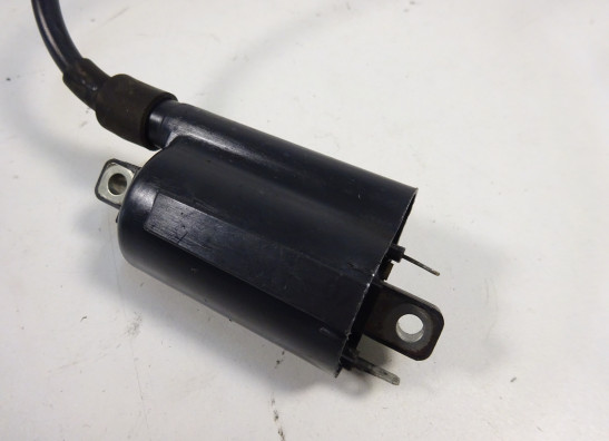 Bobine Ducati monster 600