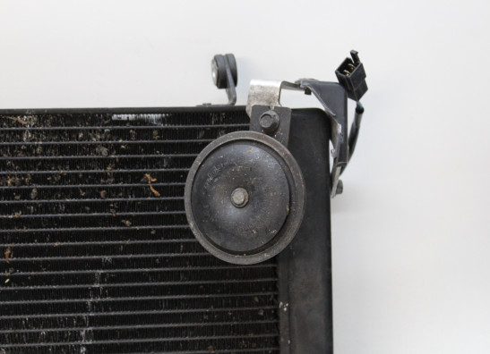 Kuhler Yamaha YZF R1