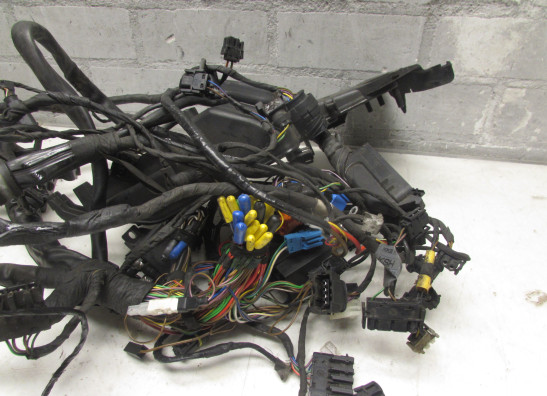 Kabelboom BMW K 1200 RS