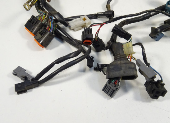 Kabelbaum Kawasaki VERSYS 650