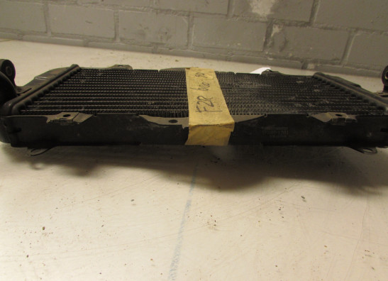 Kuhler Yamaha FZR 600