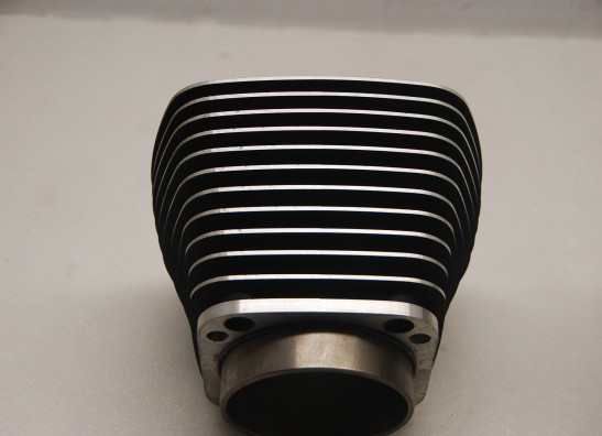 Cilinderblok Harley Davidson Softtail